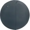 Image de Leitz, Ballon de gymnastique, (65 cm)