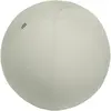 Image de Leitz, Ballon de gymnastique, (75 cm)