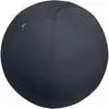 Image de Leitz, Ballon de gymnastique, (75 cm)