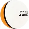 Image de Sachet De 12 Balles Bicolores Joola