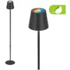 Image de Briloner, Lampadaire, RGB/W Accu floor lamp, IP44, anthracite (500 lm)