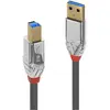 Image de Lindy USB/A-USB/B M-M (1 m, USB 3.2 Gen 1), Câble USB