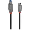 Image de Lindy Câble USB 3.2 type C vers B, Anthra Line (0.50 m, USB 3.2 Gen 1), Câble USB