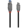 Image de Lindy Câble USB 3.2 type C vers B, Anthra Line (3 m, USB 3.2 Gen 1), Câble USB