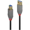 Image de Lindy USB/A-USB/B M-M (0.50 m, USB 3.2 Gen 1), Câble USB
