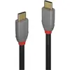 Image de Lindy USB C   USB C (1.50 m, USB 3.2 Gen 2x2, 100 W), Câble USB