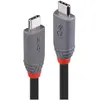Image de Lindy Câble USB 4 Type C, Anthra Line (0.80 m, USB 4, 100 W), Câble USB