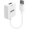 Image de Lindy Câble Displayport Vers Hdmi 4k