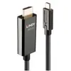 Image de Lindy Convertisseur d'interface vidéo (5 m), Câble vidéo, Noir