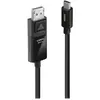 Image de Lindy DisplayPort   USB C (1 m), Câble vidéo, Noir