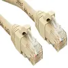 Image de Lindy Premium - Cordon de raccordement - RJ-45 (M) pour RJ-45 (M) - 30 cm - UTP - CAT 6 - sans halogène, sans crochet - gris
