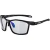 Image de Alpina, Unisexe, Lunettes de sport, Twist Five V (Noir, Bleu), Noir