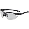 Image de Alpina, Unisexe, Lunettes de sport, Twist Five HR S V (Noir, Noir), Noir