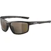 Image de Alpina, Unisexe, Lunettes de sport, Defey (Noir, Marron), Noir, Gris