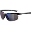 Image de Alpina, Unisexe, Lunettes de sport, Defey HR (Noir, Bleu), Noir