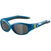 Image de Alpina, Unisexe, Lunettes de soleil, Flexxy
