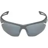 Image de Alpina Lunettes De Soleil Nylos Hr Mirror CAT3