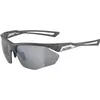Image de Alpina, Unisexe, Lunettes de sport, Nylos HR (Gris nuit mat, Silver), Gris