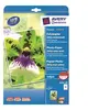 Image de Avery Zweckform Premium Photo Paper 2559-20 - Mat - blanc - A4 (210 x 297 mm) - 250 g/m² - 20 feuille(s) papier photo