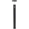 Image de Brilliant, Éclairage d'extérieur, G40412/06 Tulip Lampe d'extérieur solaire avec détecteur de mouvement 3 W Chaud (430 lm, IP44)