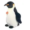 Image de Peluche Pinguin 30 cm