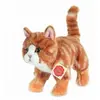 Image de Peluche Chat roux - 20 cm