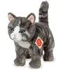 Image de Peluche chat tigré Hermann 20 cm