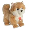 Image de Peluche Loulou de Poméranie 22 cm