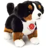 Image de Teddy Hermann Bouvier chiot (23 cm)