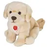 Image de Peluche chien golden retriever assis 25 cm