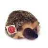 Image de Peluche Hérisson 15 cm