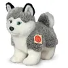 Image de Peluche chien Husky Hermann 23 cm