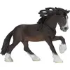 Image de Schleich Étalon du comté