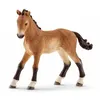 Image de Schleich Tennessee Walker Foal