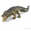 Image de 14727 Alligator