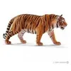 Image de 14729 Tigre du Bengale mâle