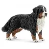 Image de 16397 bouvier bernois femelle