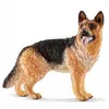 Image de 16831 Berger Allemand