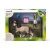 Image de Schleich Andalusian Paardenverzorgingsset