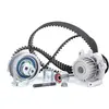 Image de Ina, Transmission : accessoires, 530 0445 31 Distributiesets + WP