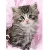Image de Puzzle douceur de chaton 500 pieces - Ravensburger