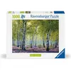 Image de Puzzle 1000 pièces Forêt de bouleaux