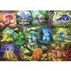 Image de Puzzle 1000 pièces : Magnifiques champignons