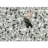 Image de Puzzle - Ravensburger - Star Wars - 1000 pièces - Pour adultes et enfants à partir de 14 ans - Multicolore