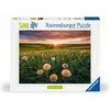 Image de Ravensburger Pissenlits au crépuscule (500 pièces)