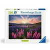 Image de Ravensburger Les lupins (500 pièces)
