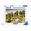 Image de 1000p puzzle The Huntington Desert Garden USA