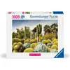 Image de Ravensburger Puzzle 12000850, Beautiful Gardens - The Huntington Desert Garden, California, USA - (1000 pièces)