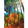 Image de Puzzle 1000 pièces : Les ocres de Roussillon
