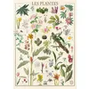 Image de Puzzle 1500 pièces : Muséum National D'Histoire Naturelle : Les Fleurs